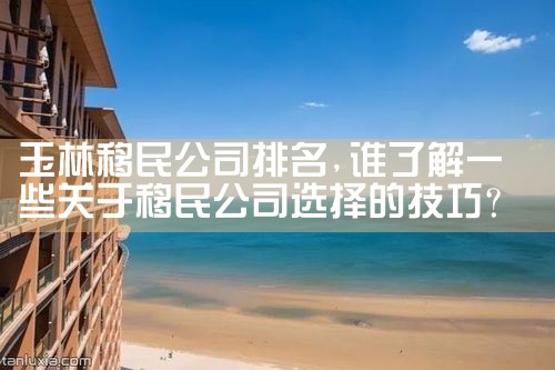 通辽移民机构哪家好