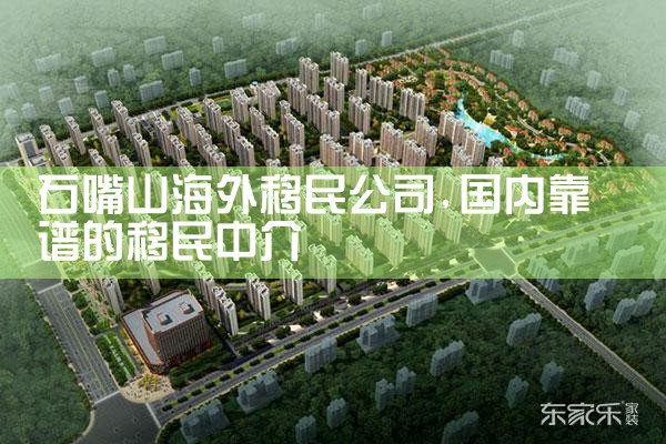 石嘴山海外移民公司