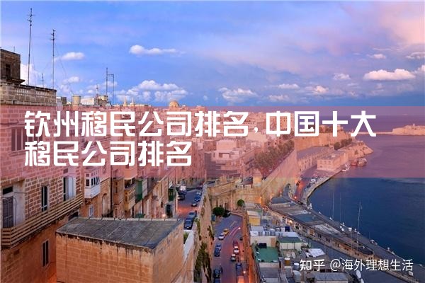 钦州移民公司排名