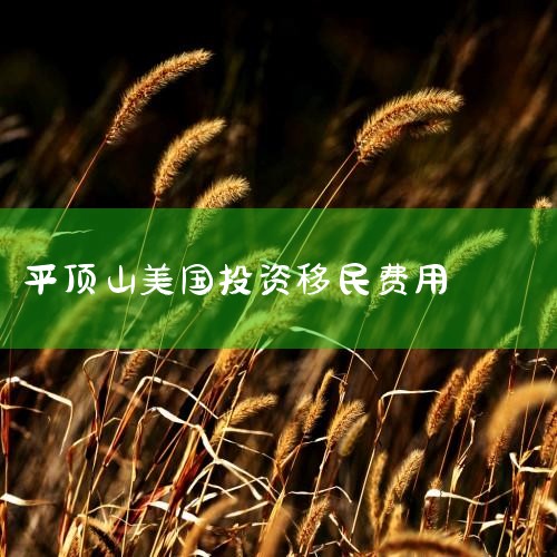 ͶʽһΪ50Ԫ100Ԫһ¹˾չһҹ˾ҪӶ10ԺϷ(ļ)еEB-5ͶĿͨͶ,