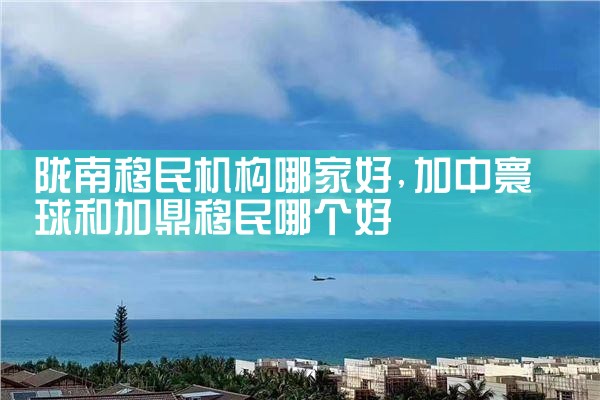 陇南移民机构哪家好