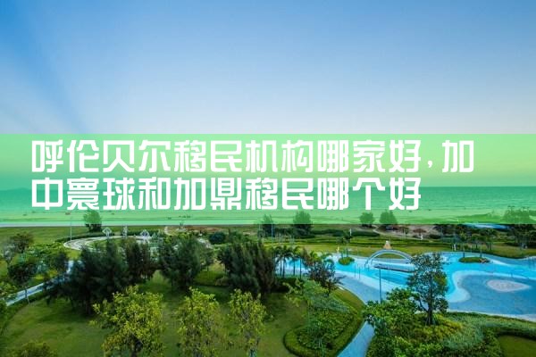 邢台移民机构哪家好