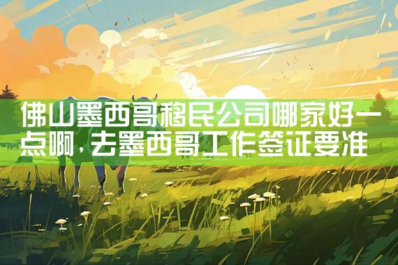 北京的移民中介公司哪家好点|海外移民《今天汇总》排名TOP公司
