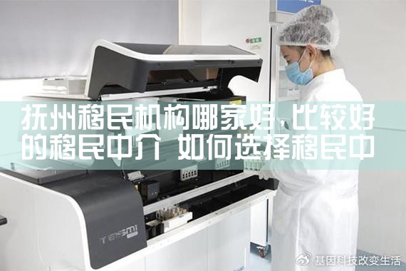 抚州移民机构哪家好
