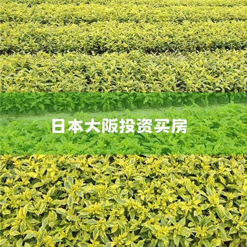 ������յ��ص���������㣬һ��100ƽ�׵ķ��Ӵ����Ҫ5000����Ԫ�����������Ҵ����Ҫ350��˵�������������ձ����涼���е�һ����Ҫ�ĳ��У�����������ʷ�Ļ���Ϣ�����һ�ӵ�ж���������Ҫ�ǵ��ձ���