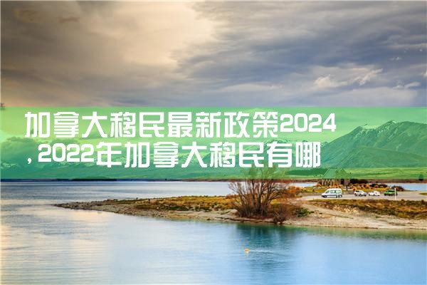 ���ô�������������2024