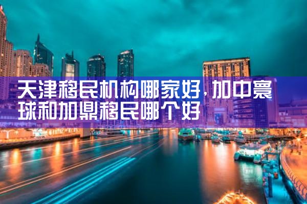 天津移民机构哪家好