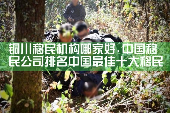 南昌移民机构哪家好