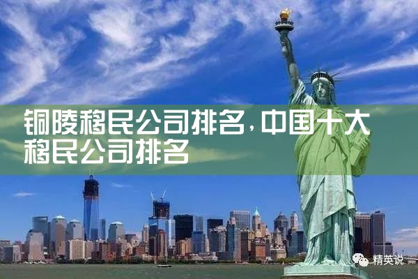 铜陵移民公司排名