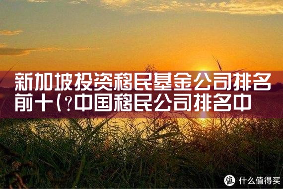 新加坡投资移民基金公司排名前十|移民公司