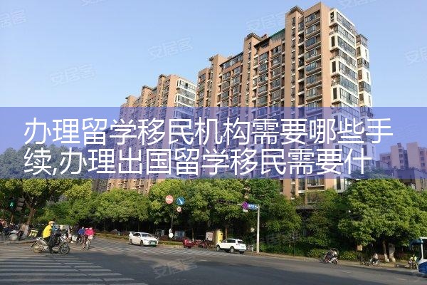 办理留学移民机构需要哪些手续