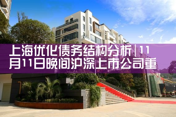 上海优化债务结构分析