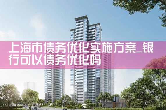 上海市债务优化实施方案