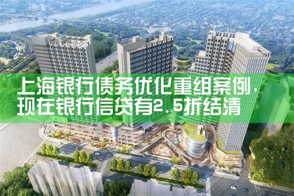 �Ϻ�����ծ���Ż����鰸��