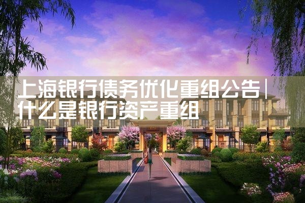 �Ϻ�����ծ���Ż����鹫��