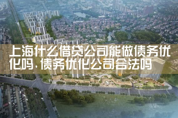 上海什么借贷公司能做债务优化吗