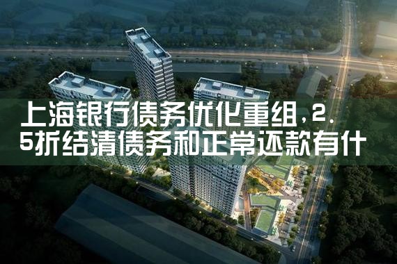 上海银行债务优化重组