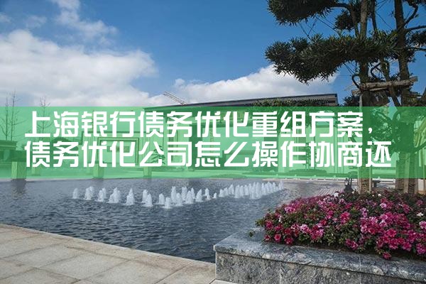 �Ϻ�����ծ���Ż����鷽��