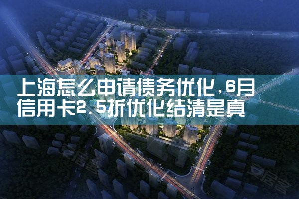 上海怎么申请债务优化