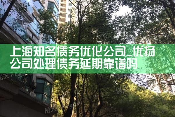 上海知名债务优化公司