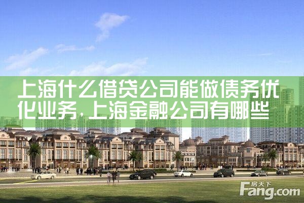 上海什么借贷公司能做债务优化业务