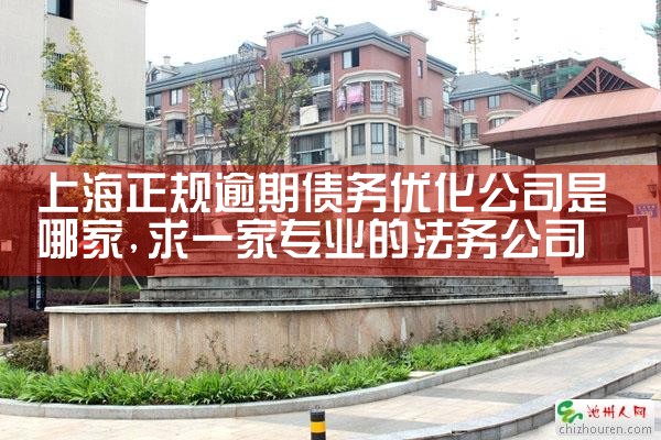 �Ϻ���������ծ���Ż���˾���ļ�