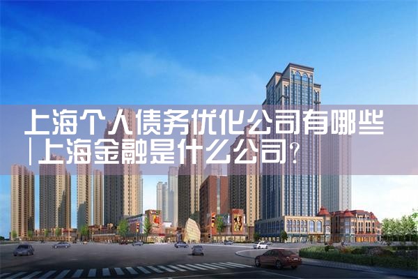 上海个人债务优化公司有哪些