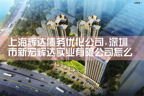 �Ϻ��Դ�ծ���Ż���˾