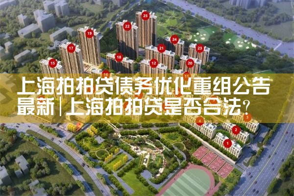 上海拍拍贷债务优化重组公告最新
