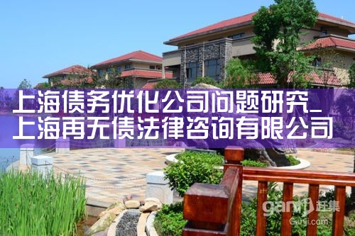 �Ϻ�ծ���Ż���˾�����о�