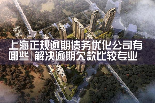 �Ϻ���������ծ���Ż���˾����Щ