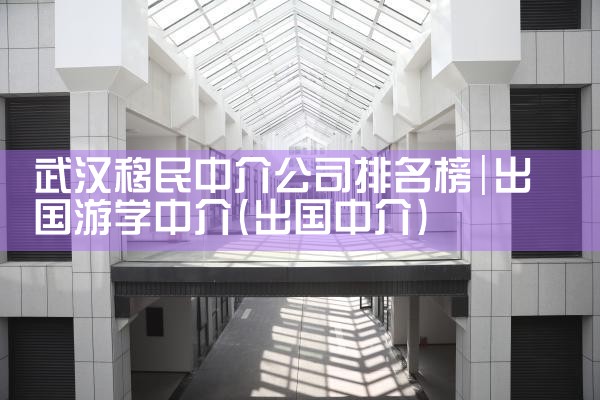 武汉移民中介公司排名榜