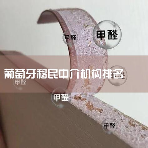 6��17��,ȫ���¾��ò�ҵ�����������ھ�ͷ�������iiMedia Research(��ý��ѯ)�����ġ�2024���й�������ݹ滮�����г���չ�о����桷��ʾ,���Ӽ�����95.3�ֵĳɼ�,���ߡ�2024��