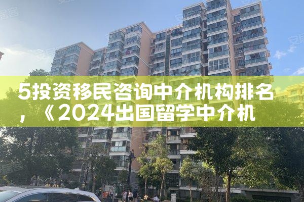 5投资移民咨询中介机构排名
