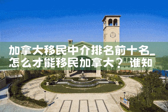 香港优才移民中介排名第几