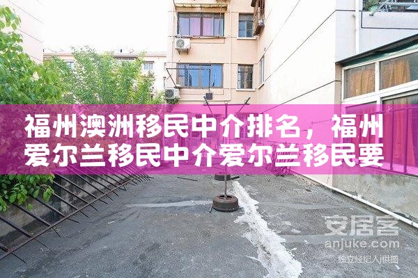 移民中介排名前十名办理移民手续