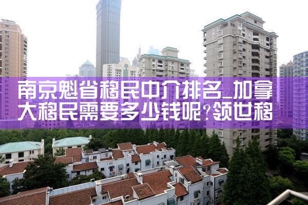 南京魁省移民中介排名