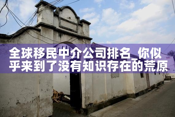 全球移民中介公司排名