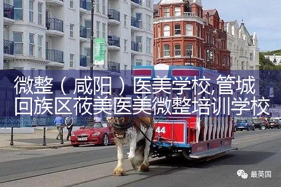 微整(鞍山)培训结构