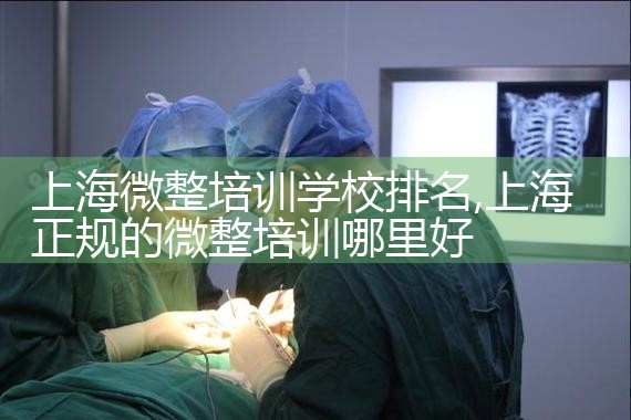 上海微整培训学校排名