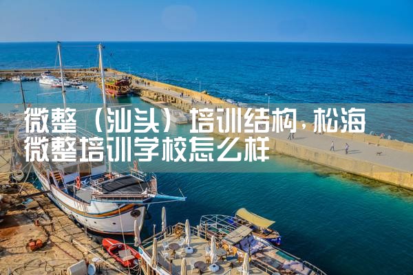 微整(汕头)培训结构