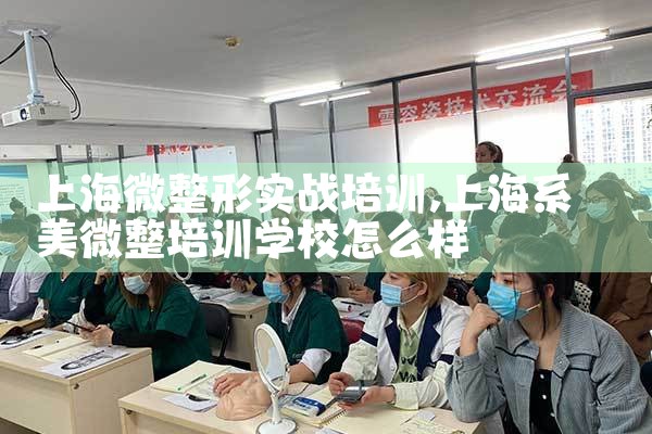 �Ϻ�΢����ʵս��ѵ