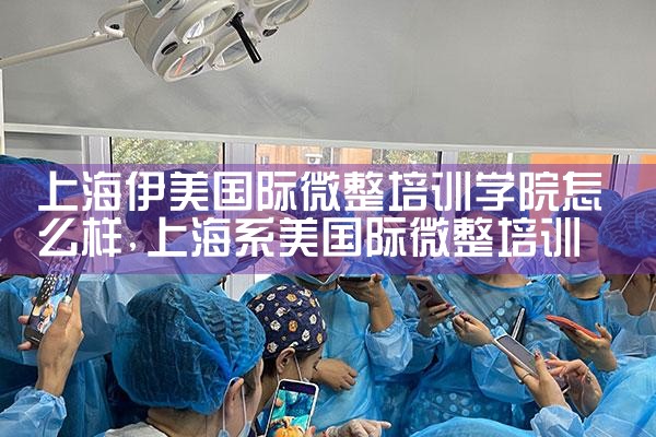 上海伊美国际微整培训学院怎么样