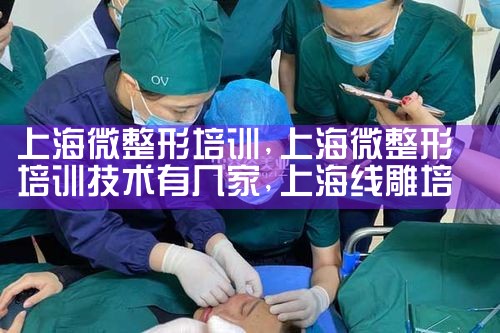 上海微整形培训