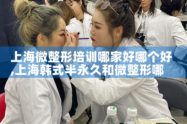 上海微整形培训哪家好哪个好