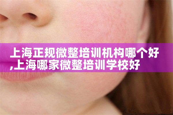 �Ϻ�����΢����ѵ�����ĸ���