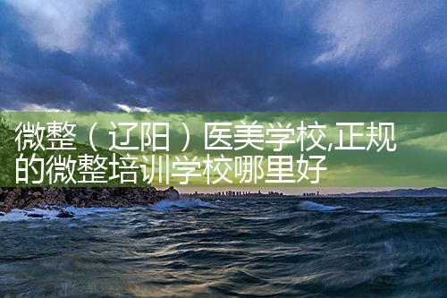 微整(昭通)医美学校