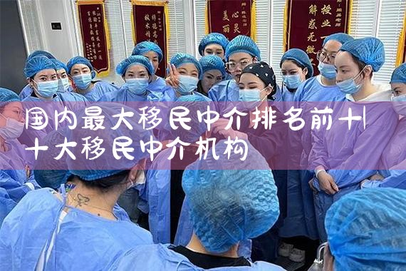 国内最大移民中介排名前十