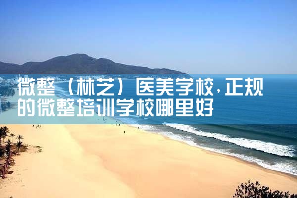 微整(林芝)医美学校