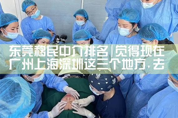 东莞移民中介排名